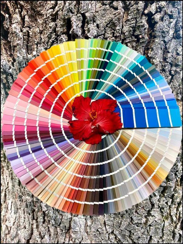coloresnaturaleza